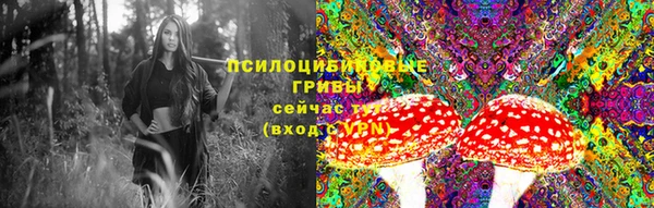 не бодяженный Новодвинск